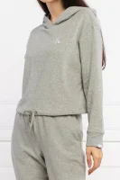 Hanorac | Regular Fit Calvin Klein Underwear 	gri	