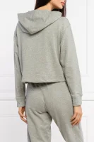 Hanorac | Regular Fit Calvin Klein Underwear 	gri	