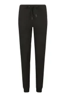 pantaloni dresowe | Regular Fit Armani Exchange 	negru	