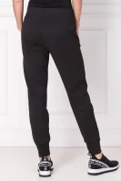 pantaloni dresowe | Regular Fit Armani Exchange 	negru	