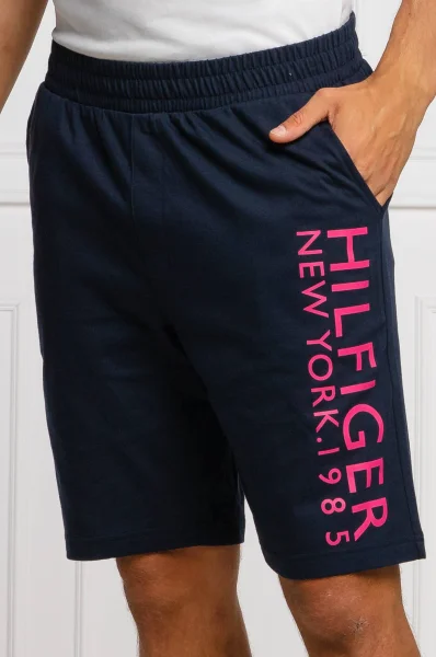Pantaloni Scurți | Regular Fit Tommy Hilfiger 	bluemarin	