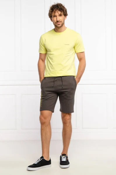 Tricou | Regular Fit Calvin Klein 	verde lime	