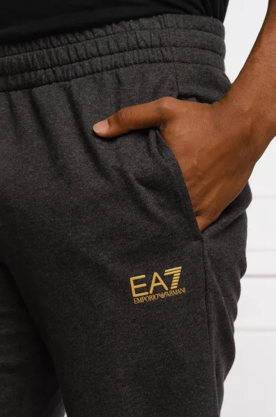 Pantaloni de trening | Regular Fit EA7 	gri	