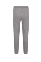 pantaloni dresowe | Regular Fit Emporio Armani 	gri	