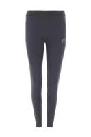 Spodnie dresowe | Regular Fit EA7 	negru	