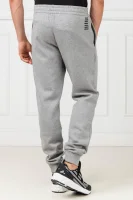 Spodnie dresowe | Relaxed fit EA7 	gri	