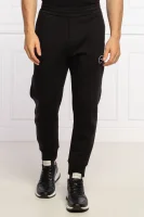 Pantaloni | Regular Fit Emporio Armani 	negru	