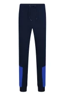 Pantaloni de trening | Regular Fit Tommy Sport 	bluemarin	