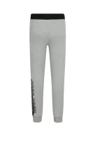 pantaloni dresowe | Regular Fit BOSS Kidswear 	gri	