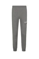 Spodnie dresowe | Regular Fit EA7 	gri	