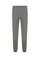 Spodnie dresowe | Regular Fit EA7 	gri	