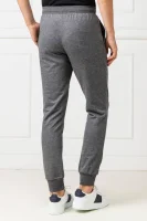 Spodnie dresowe | Regular Fit Emporio Armani 	gri grafit	