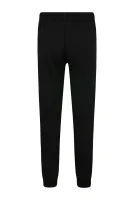 Pantaloni de trening | Regular Fit EA7 	negru	