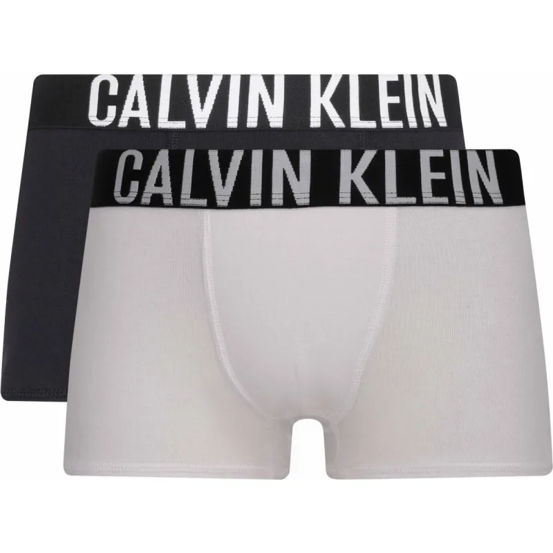 Calvin Klein Underwear Chiloți boxer 2-pack