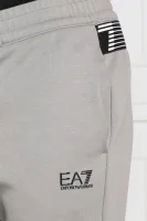 Pantaloni de trening | Regular Fit EA7 	gri	