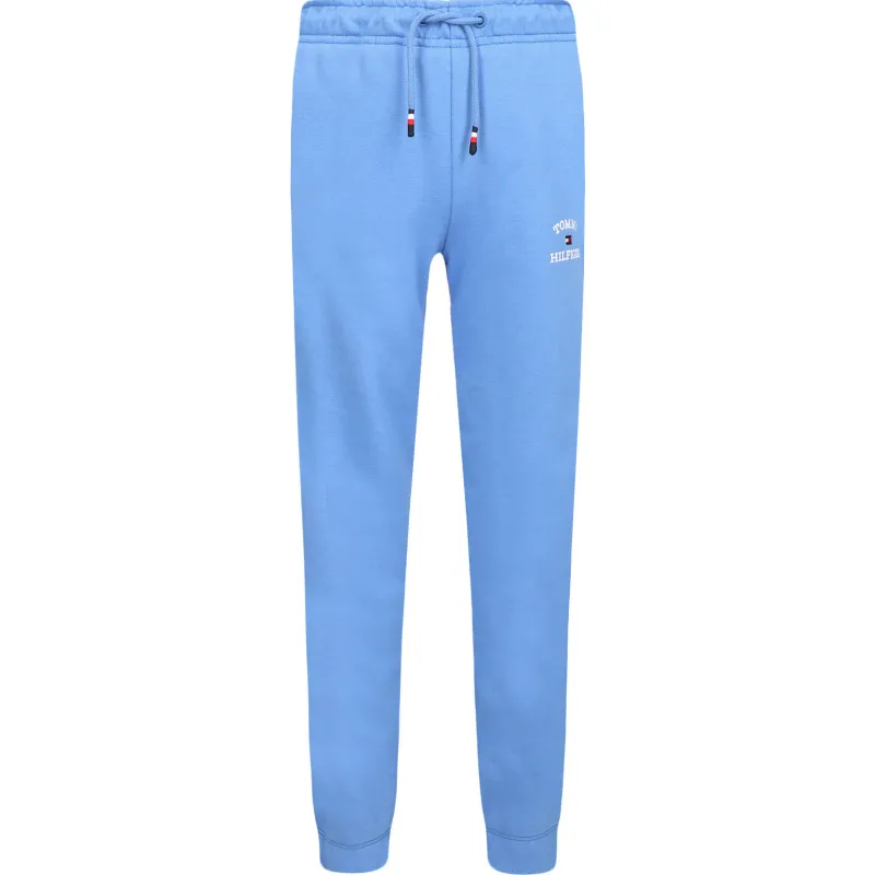 Tommy Hilfiger Pantaloni de trening | Regular Fit