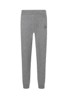 pantaloni dresowe | Relaxed fit EA7 	gri	