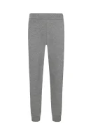 pantaloni dresowe | Relaxed fit EA7 	gri	
